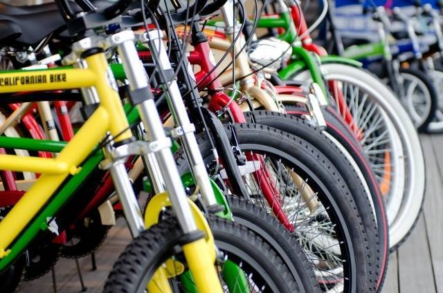 猫はトランク 楽器は座席へ 意外に知らない高速バスの荷物持ち込み事情 高速バス 夜行バス バスツアーの旅行 観光メディア バスとりっぷ 猫はトランク 楽器は座席へ 意外に知らない高速バスの荷物持ち込み事情 高速バス 夜行バス バスツアーの旅行 観光メディア バスとりっぷ