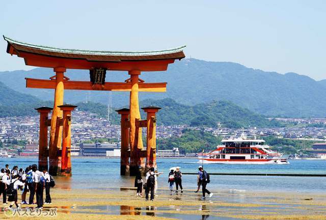 宮島.jpg