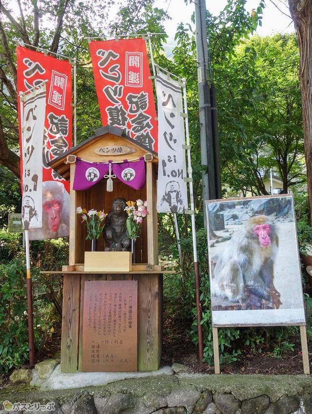 シャーロットはどこ 高崎山自然動物園でサルとたわむれる 高速バス 夜行バス バスツアーの旅行 観光メディア バスとりっぷ