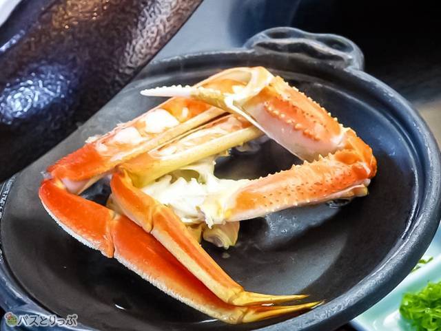蟹 蟹 蟹 たらふく食べられる 豪快 夕日ヶ浦温泉で食すカニ三昧 大阪発のクラブツーリズム日帰りバスツアーに参加 高速バス 夜行バス バスツアーの旅行 観光メディア バスとりっぷ