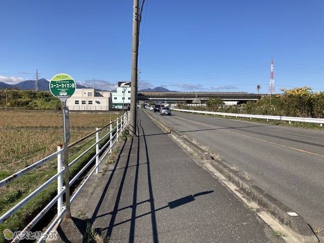 ユーユーカイカン前路線バス.jpeg