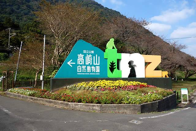 日本の動物園 ｢高崎山自然動物園」 | DreamingPets - 楽天ブログ